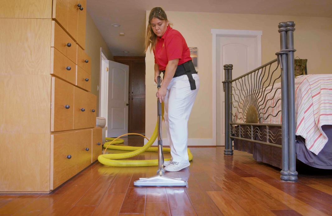 Hardwood Cleaning Stanley Steemer San, Hardwood Floor Cleaner Service